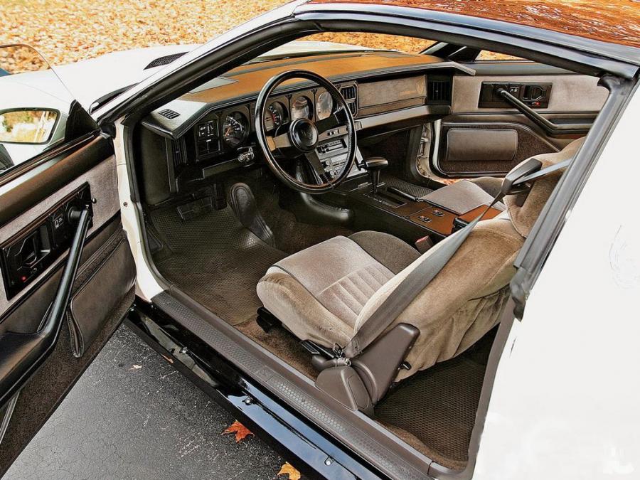  Pontiac Firebird Trans Am 1983 года  (фото 4 из 22)